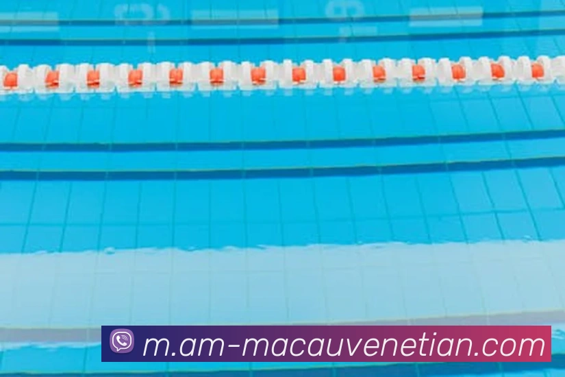 威尼斯人娱乐官网品牌故事