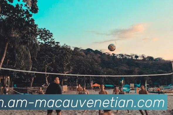 威尼斯人娱乐官网服务体系